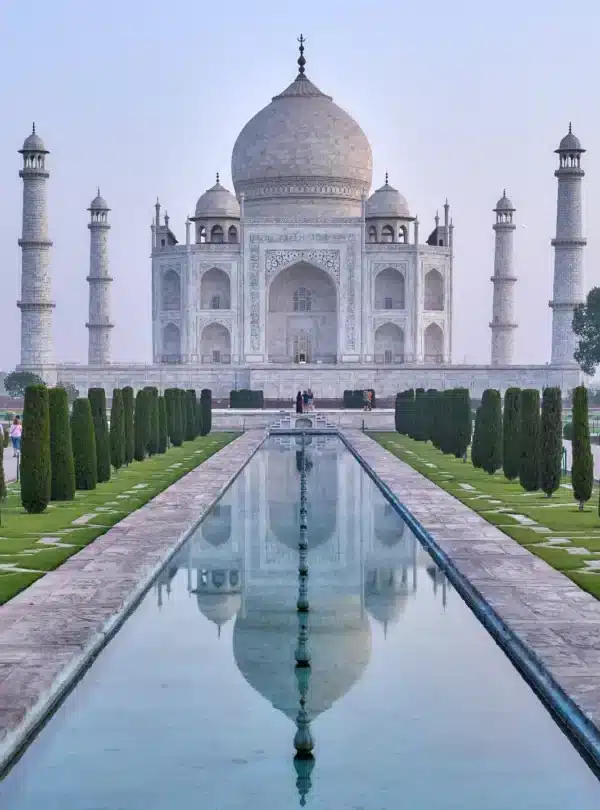 INDIA TAJ